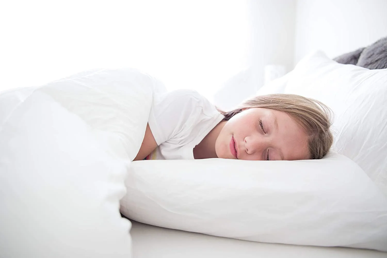 Carpenter<sup>®</sup> Peaceful Dreams<sup>®</sup> Pillow | Standard Size