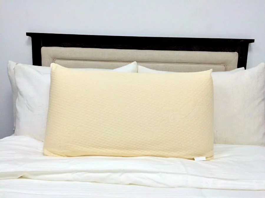Latex International Rejuvenite Natural High Profile Pillow