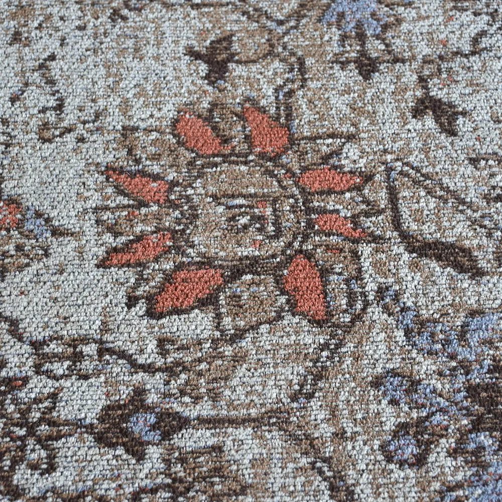Souka Greige and Coral Distressed Rug