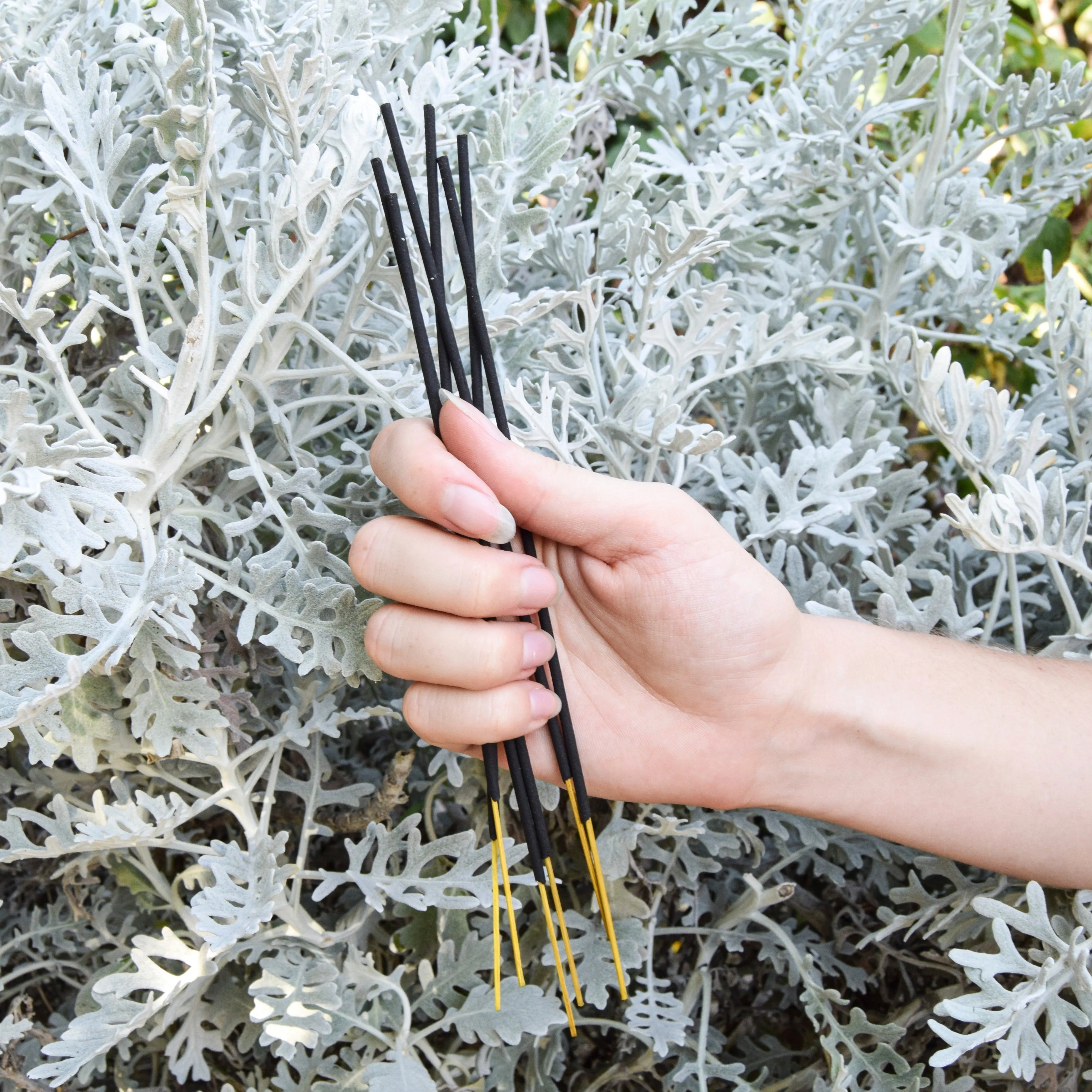 UMA Pure Bliss Wellness Incense
