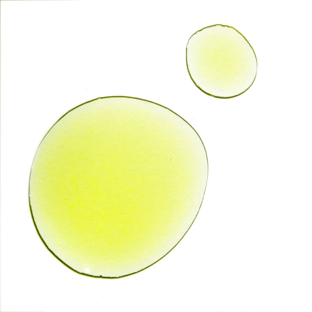 UMA Pure Bliss Wellness Oil